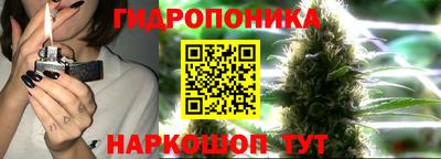 мяу мяу мука Аргун